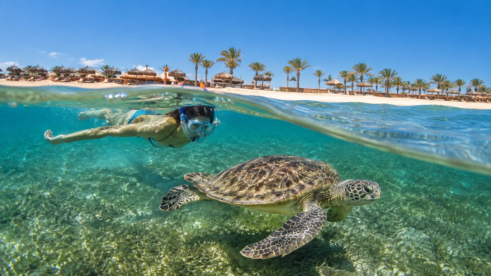 Tropical Over-Under Snorkelling Adventure